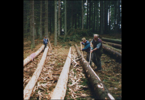 Flößer beim Stämme schälen